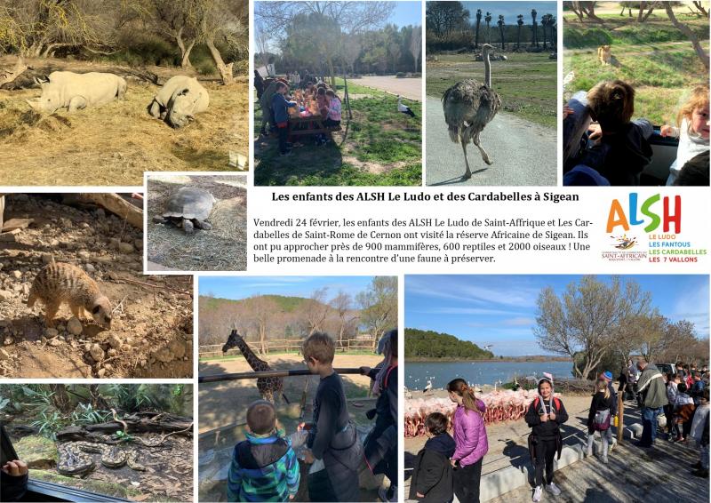 Alsh : Découverte de la faune sauvage à Sigean